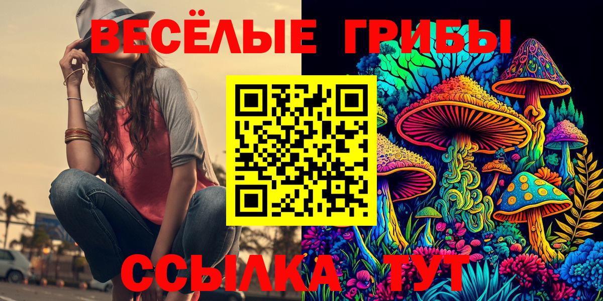 Галлюциногенные грибы ЛСД Тула